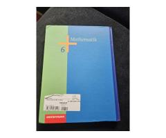 Mathematik 6